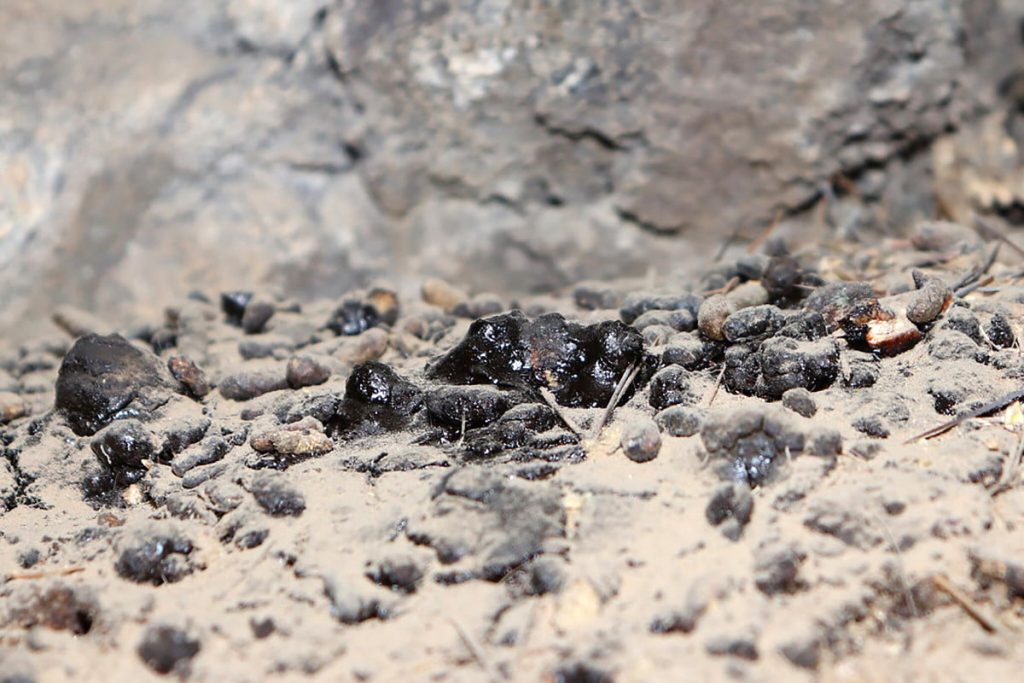 Откуда берется мумиё