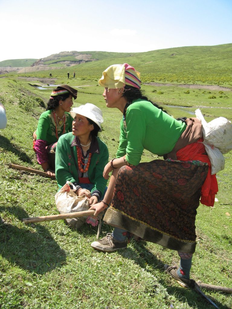 Михаил Вишневский приглашает в экспедицию за дикорастущим кордицепсом в Непал (18-29 мая).