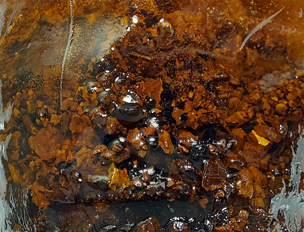 Замороженная чага