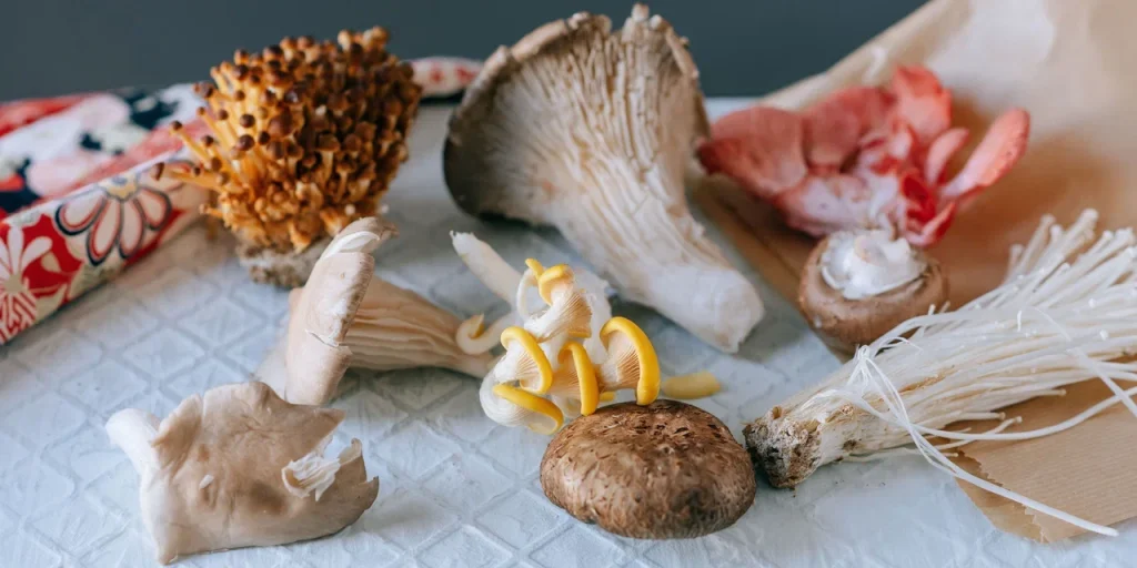 эрготионеин