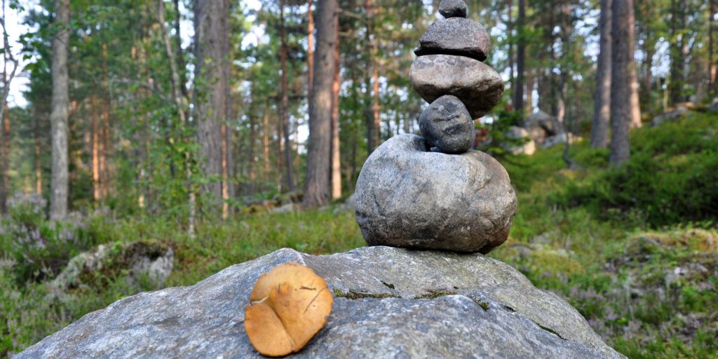 тревожность 1