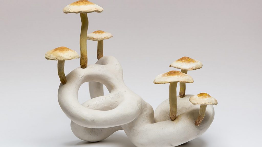 мицелий для творчества 1