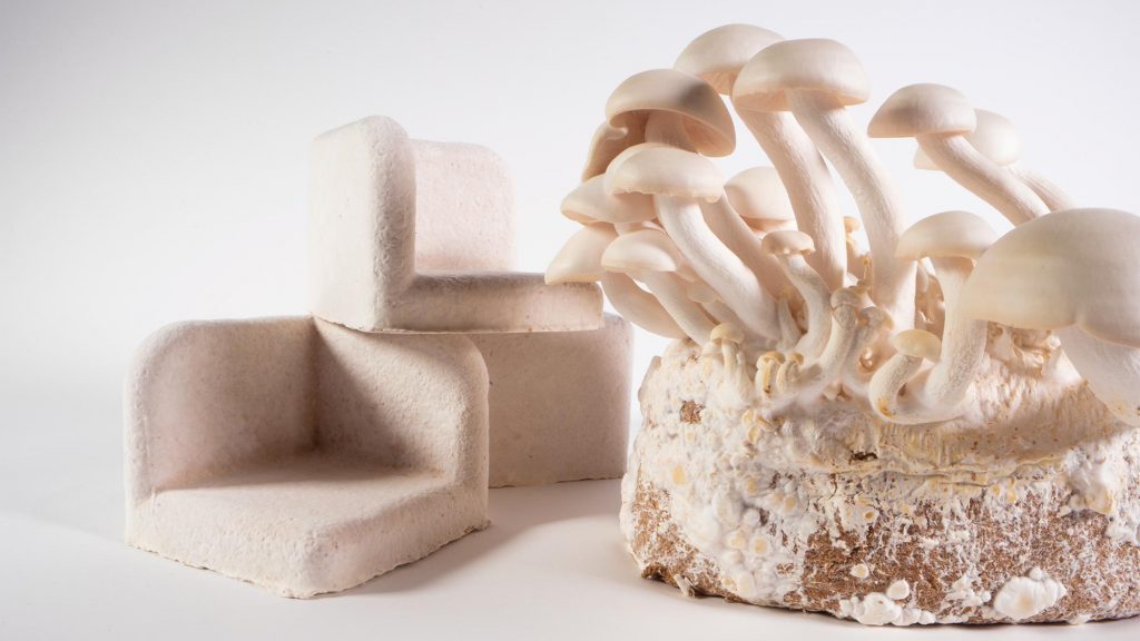 мк и хитин 1