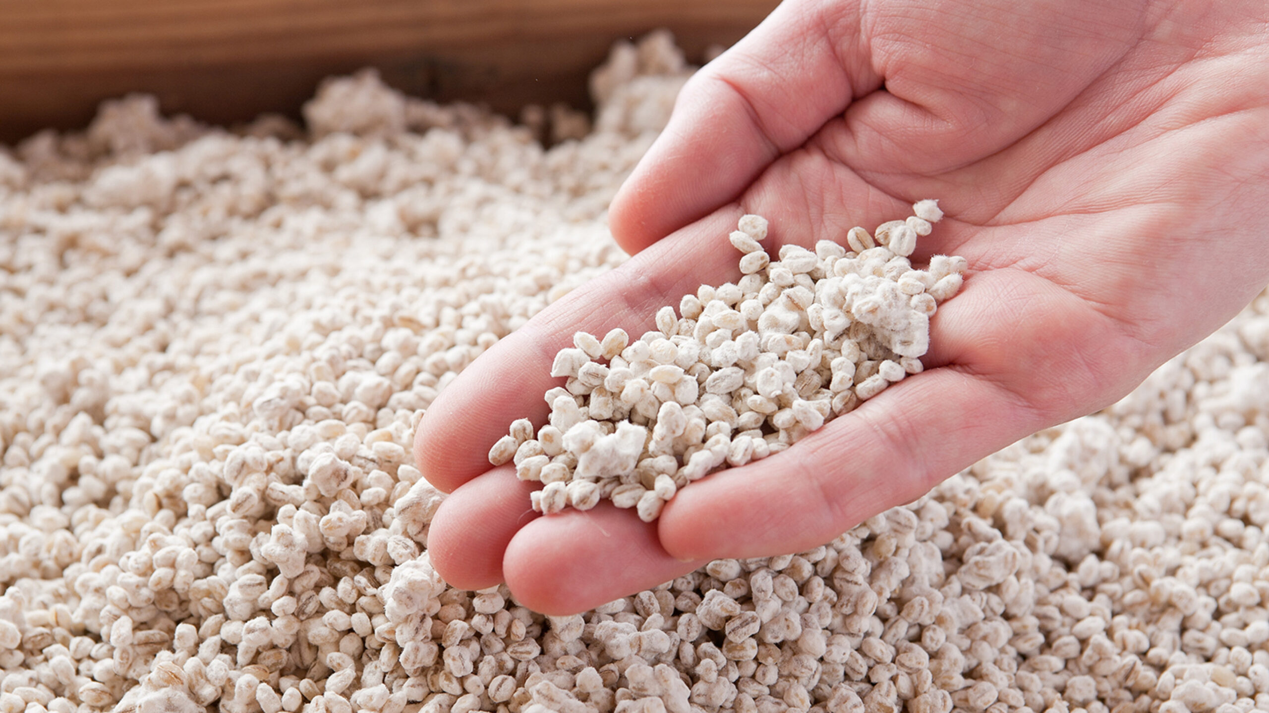 Снова о воде. Aspergillus oryzae