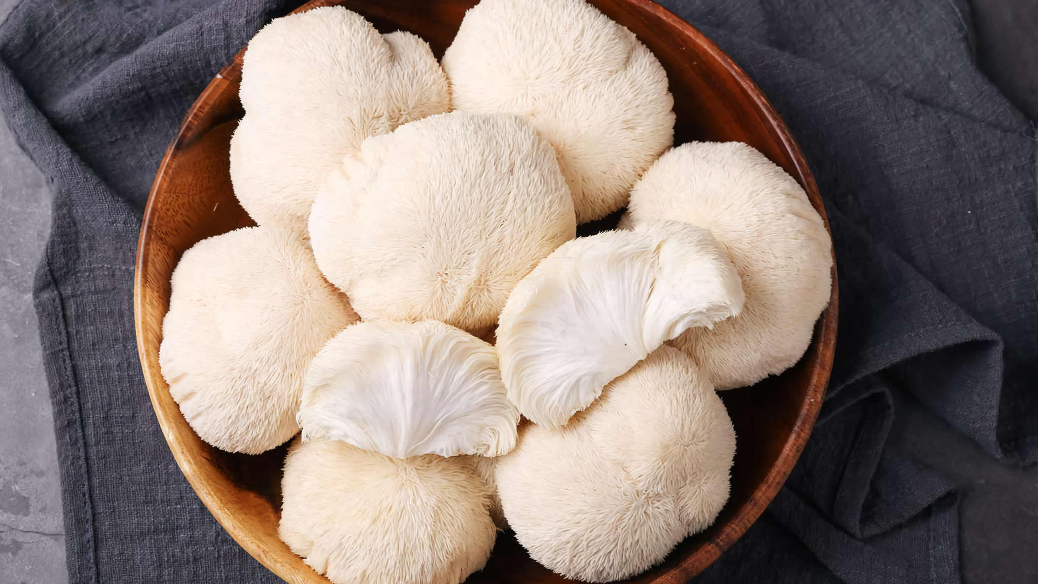 Ежовик. Интересные факты. Ежовик. Интересные факты.