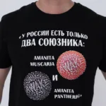 Футболка с грибами