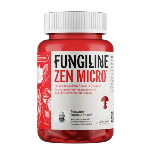 zen micro