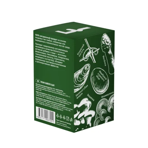 box 2 60 4