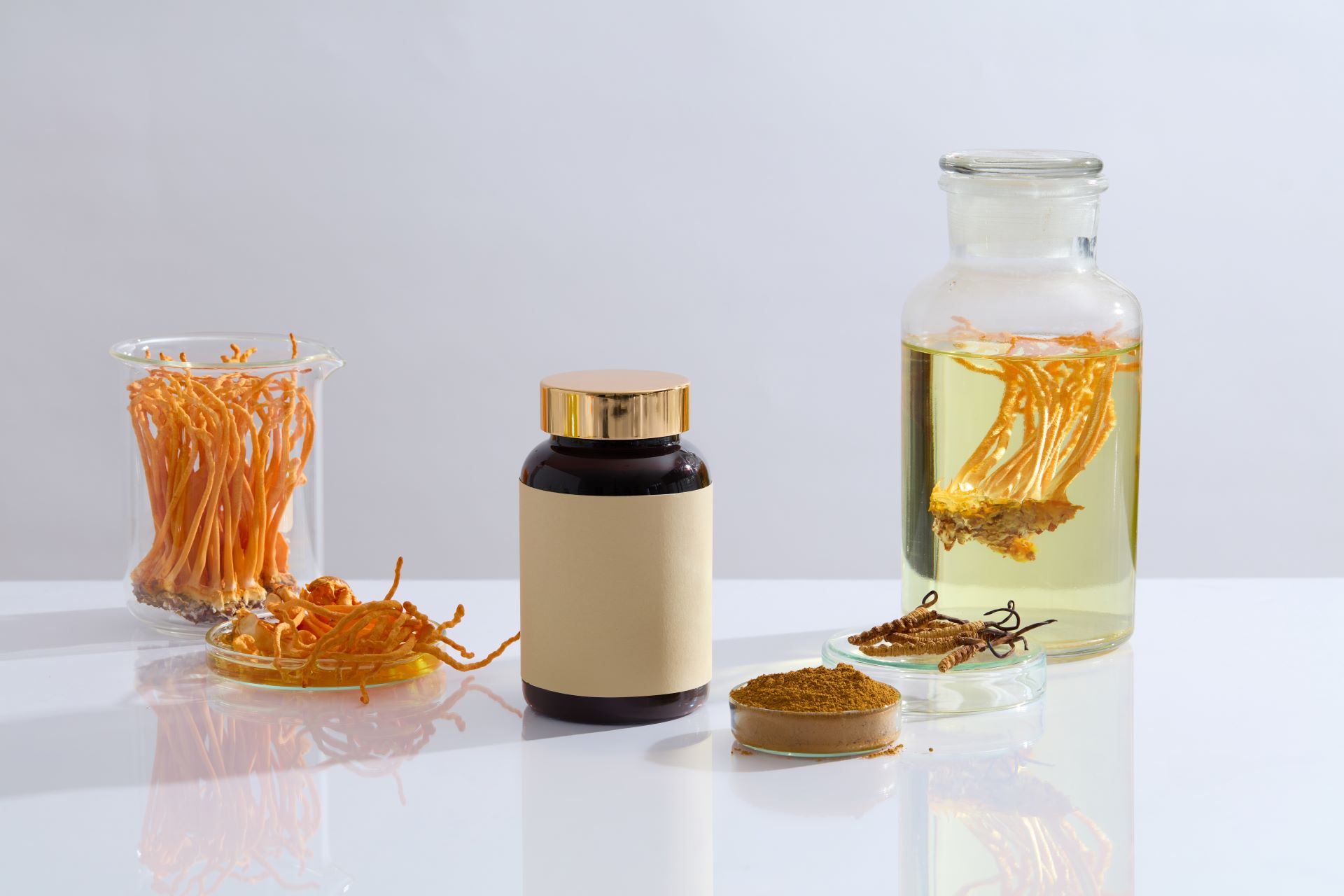 Как принимать кордицепс?