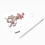 Почтовая открытка «Осьминог и мухомор» • Сувенир от Fungiline — изображение 2