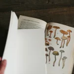 Блокнот «Notes» • Сувенир от Fungiline — изображение 3