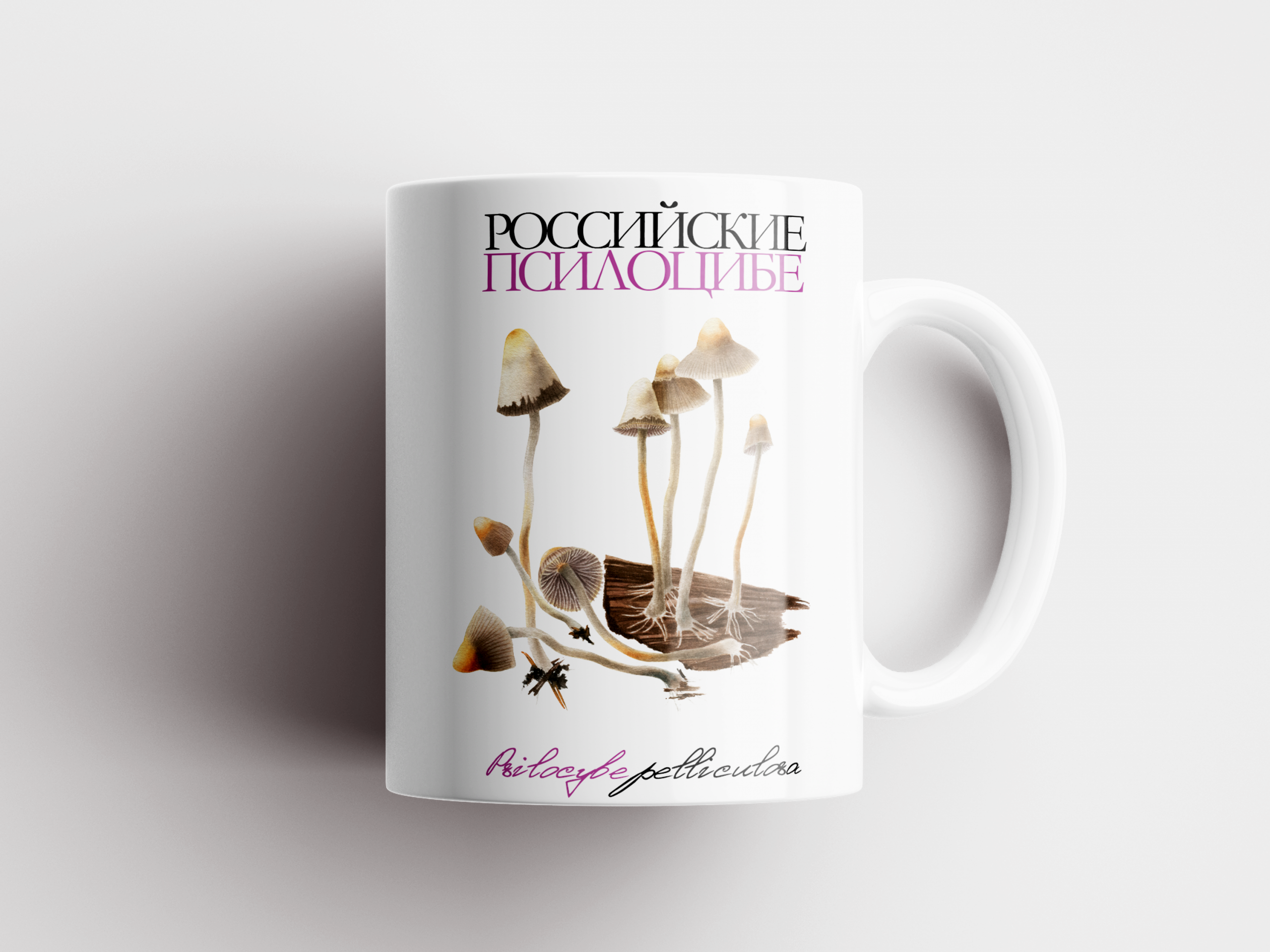 3-2.png Кружка «Российские псилоцибе» Psilocybe pelliculosa — изображение 1