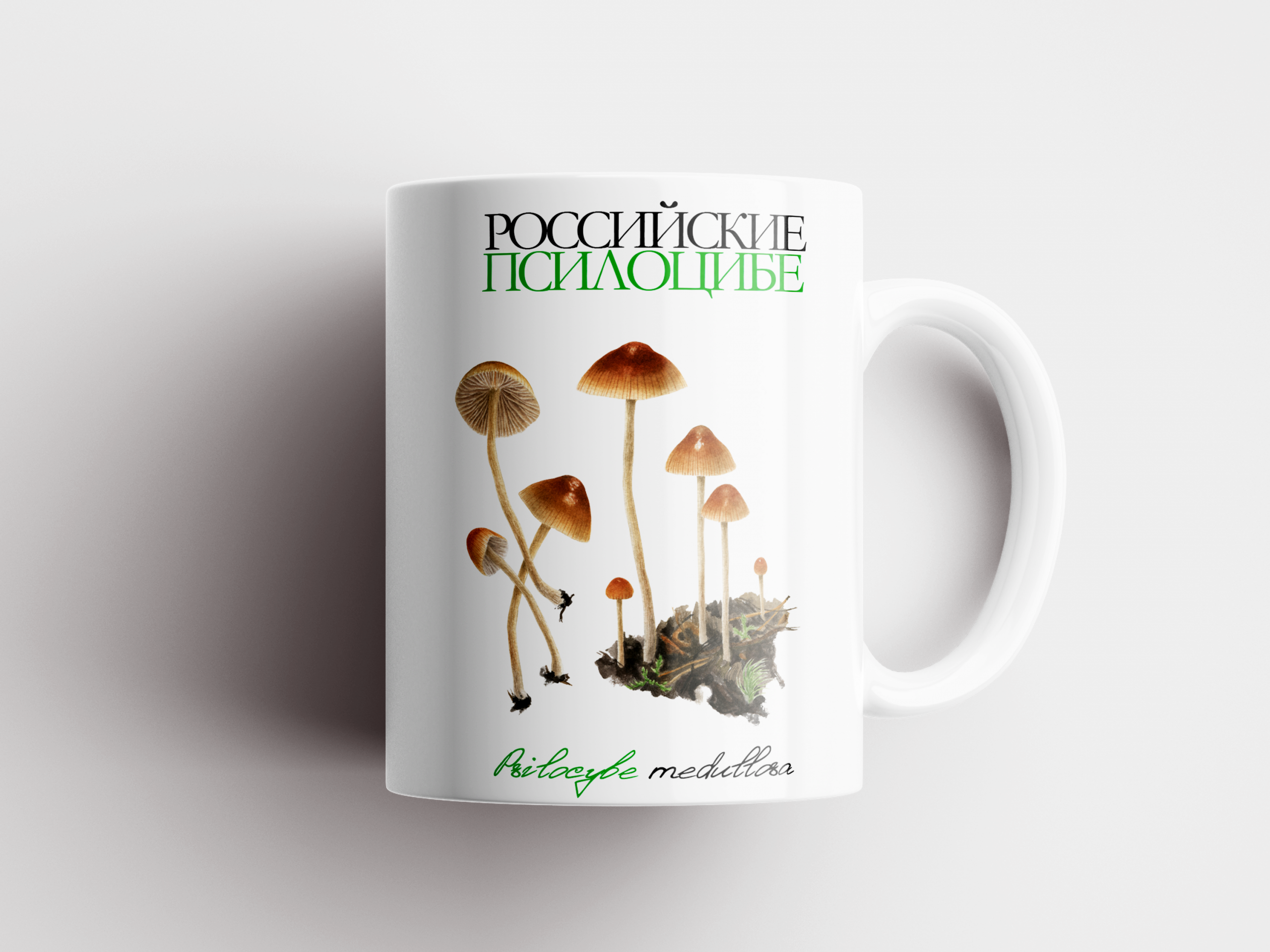4-2.png Кружка «Российские псилоцибе» Psilocybe medullosa — изображение 1
