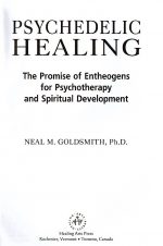 Психоделическое лечение. Перспективы использования энтеогенов для психотерапии и духовного развития - Нил Голдсмит — изображение 2