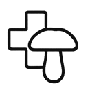 Грибная аптека