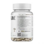 Чага • 60 капсул — изображение 2