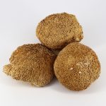 Ежовик гребенчатый • 120 капсул — изображение 6