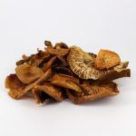 Онкология: профилактика • 60 капсул — изображение 4