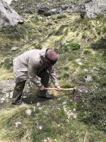 Кордицепс китайский дикорастущий • 10 г — изображение 5