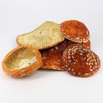 Мухоморный крем • усиленная формула • 150 мл — изображение 4