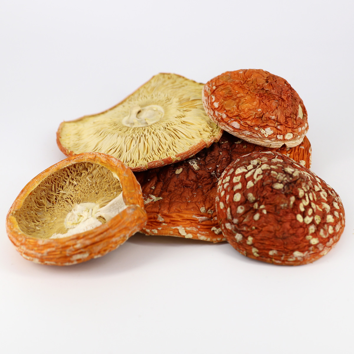 Мухоморный крем • усиленная формула • 150 мл — изображение 4