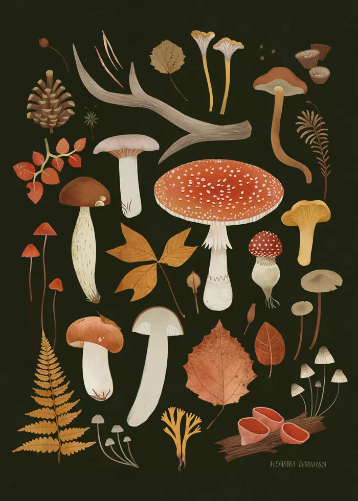 Почтовая открытка «Лесные находки» • темная • Сувенир от Fungiline — изображение 2