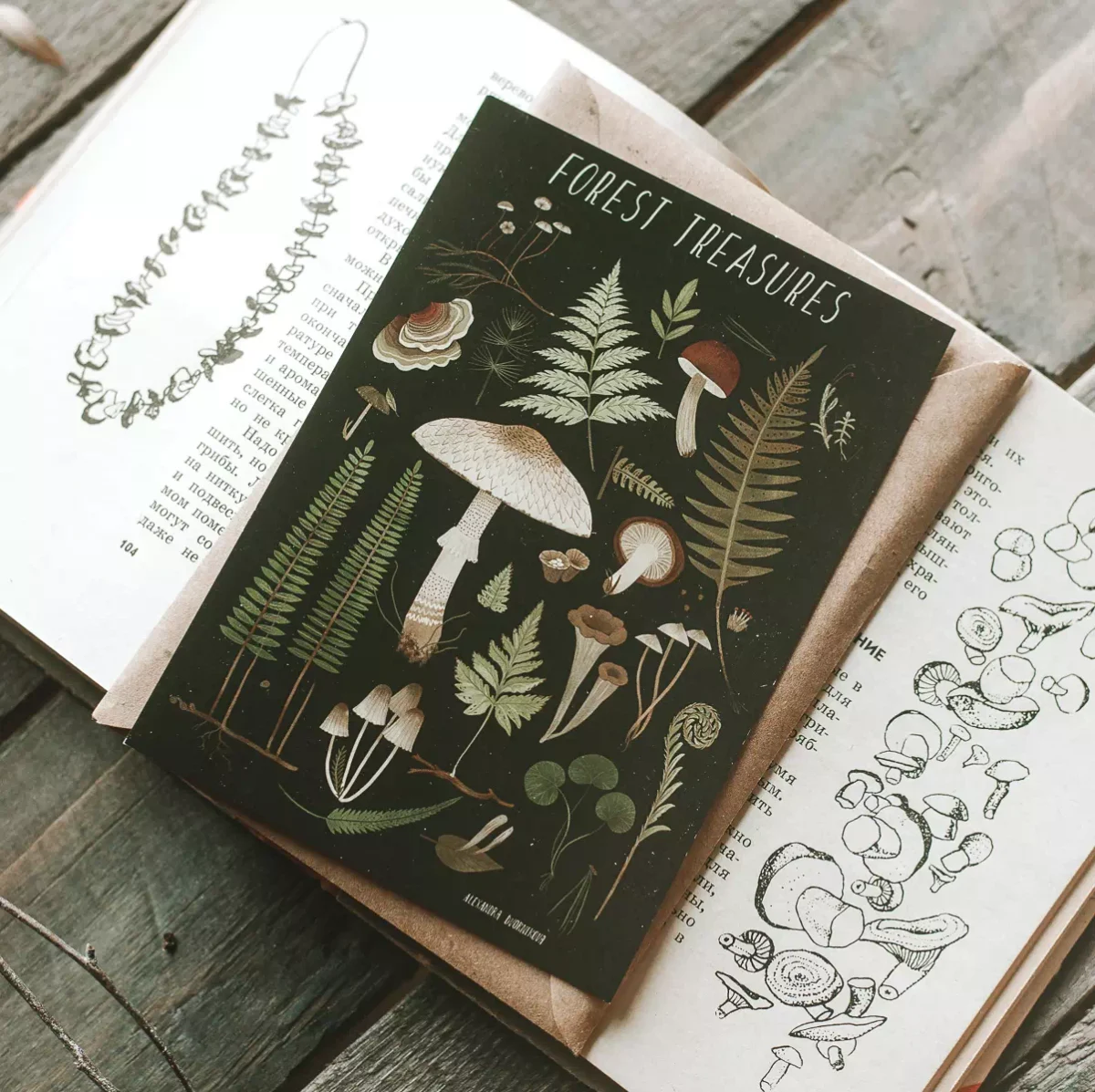 Почтовая открытка «Лесные сокровища» • Сувенир от Fungiline — изображение 1