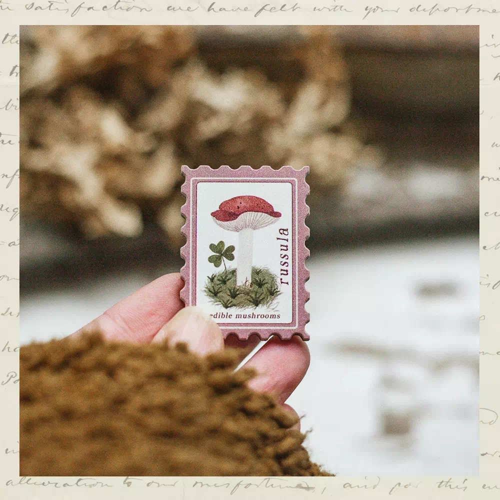 Брошка «Почтовая марка» • Сувенир от Fungiline — изображение 1