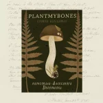 Брошка «Подберёзовик» • Сувенир от Fungiline — изображение 3