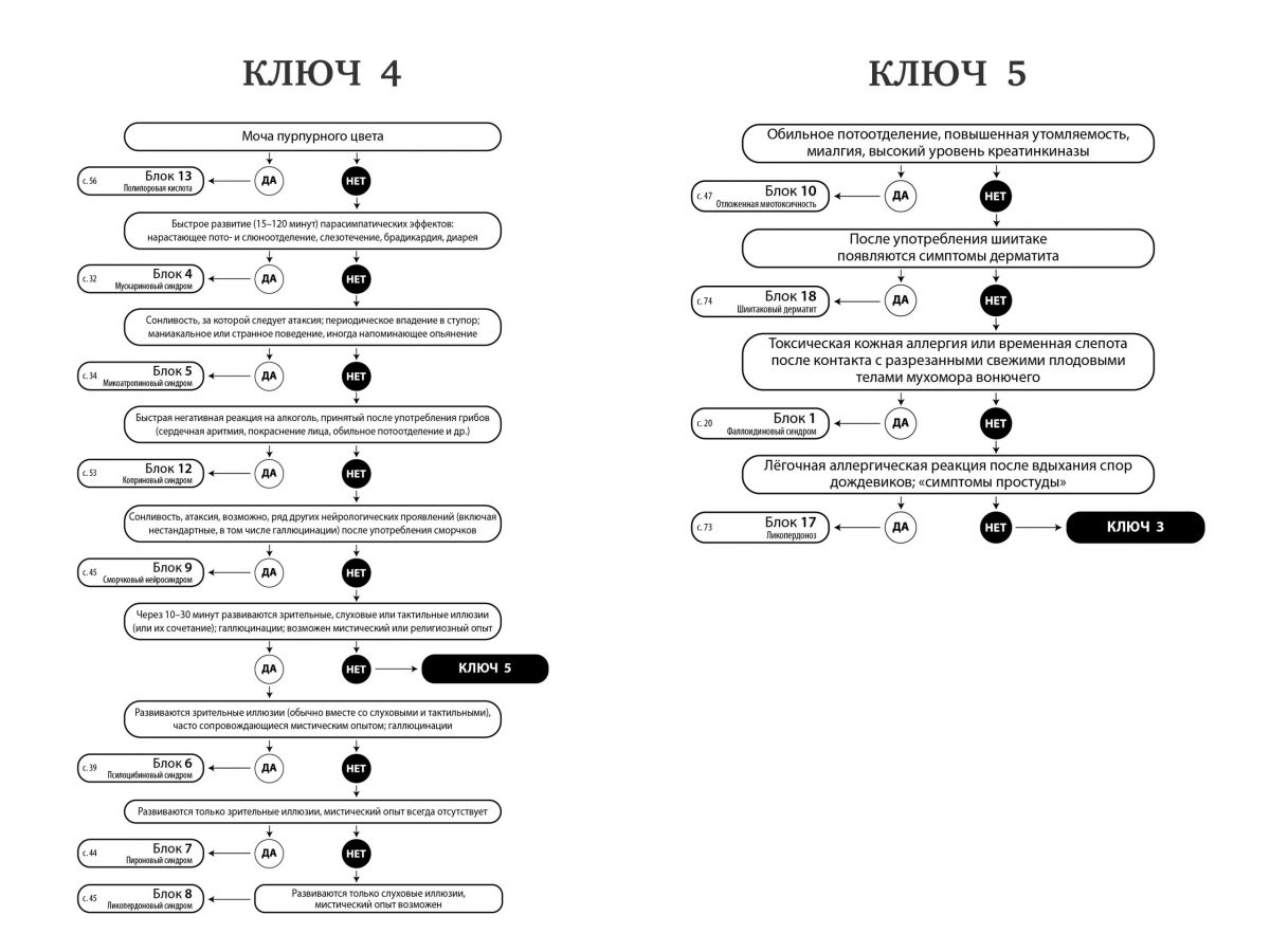М. Вишневский, А. Алтиери. Определитель синдромов отравлений ядовитыми грибами по клинической картине — изображение 16