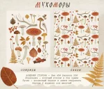 Сумка-шоппер «Мухомор» • Сувенир от Fungiline — изображение 4