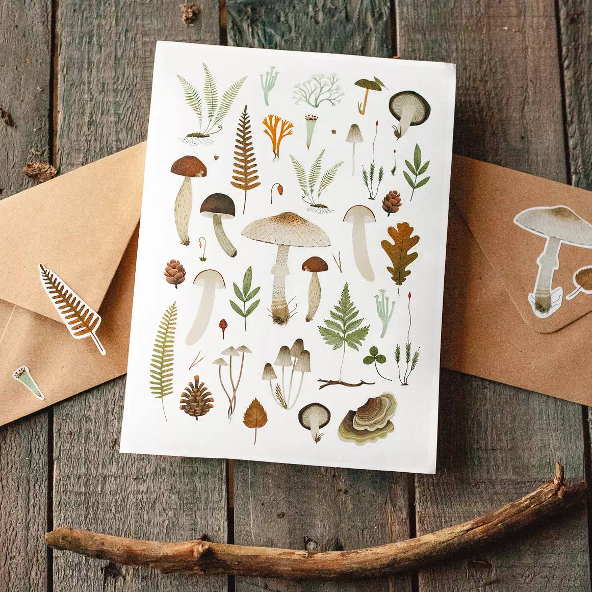 Стикеры «Грибы и растения» • Сувенир от Fungiline — изображение 1