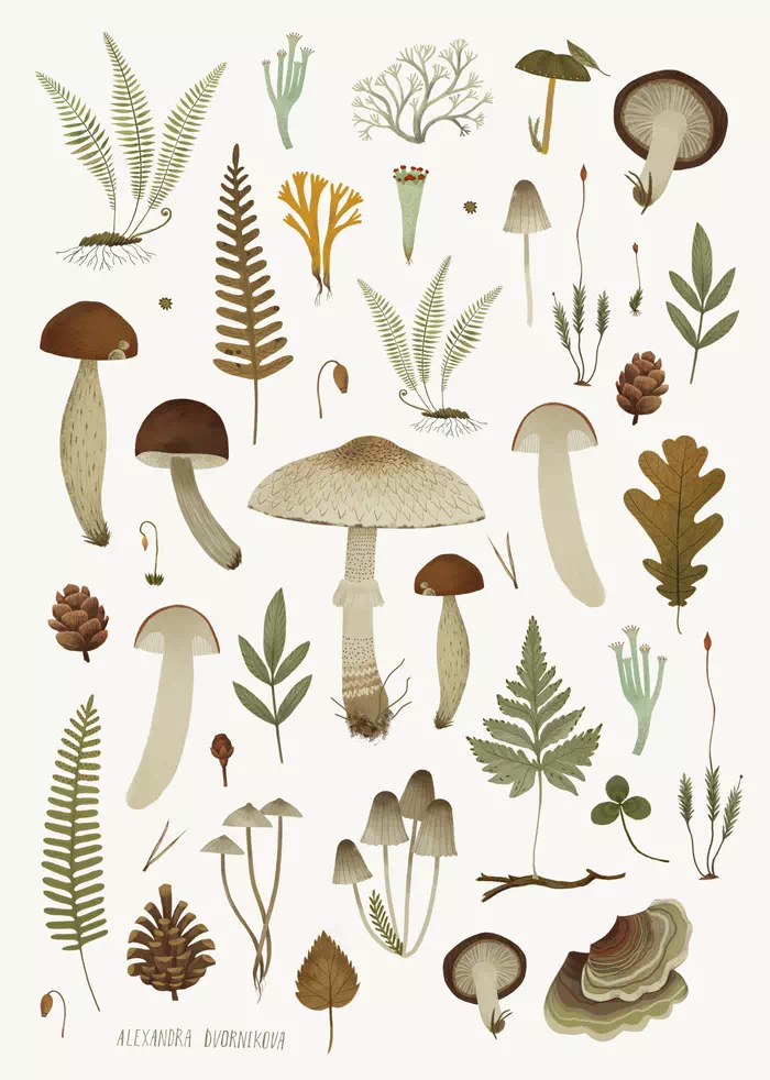 Стикеры «Грибы и растения» • Сувенир от Fungiline — изображение 2
