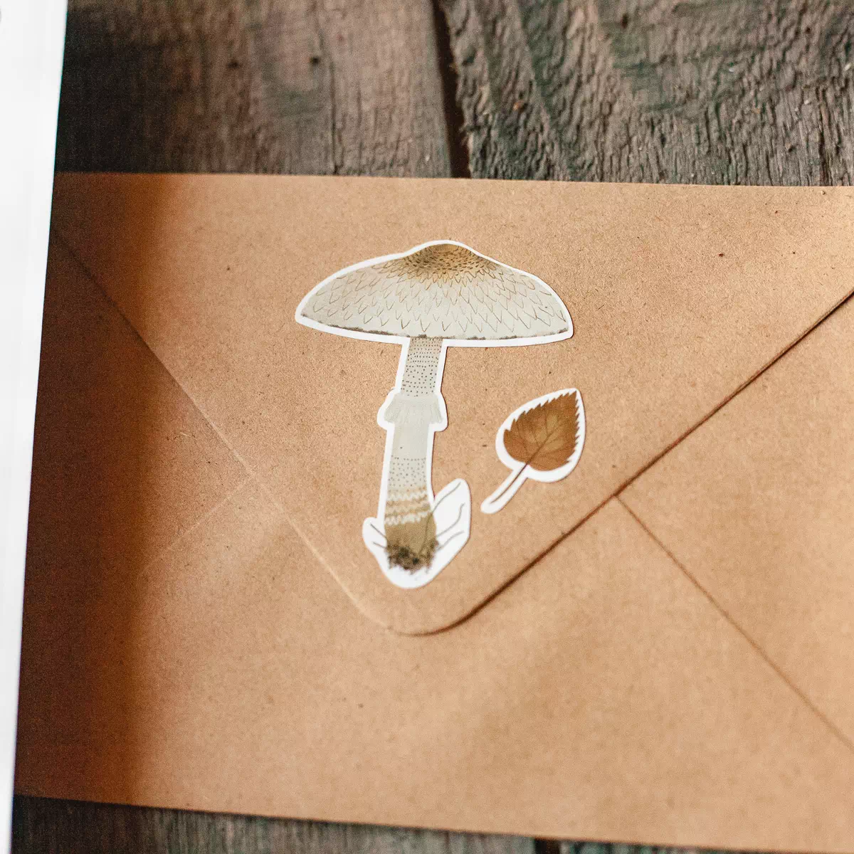 Стикеры «Грибы и растения» • Сувенир от Fungiline — изображение 3