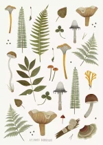 Стикеры «Папоротники и грибы» • Сувенир от Fungiline — изображение 2