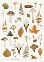 Стикеры «Птичий череп и листья» • Сувенир от Fungiline — изображение 2