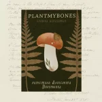 Брошка «Сыроежка с листиком» • Сувенир от Fungiline — изображение 2