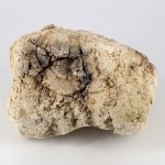 FungiDog «Нормализация веса при ожирении» • 100 г — изображение 6