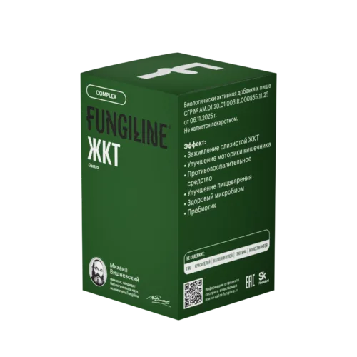 box 60 gastro 1 1