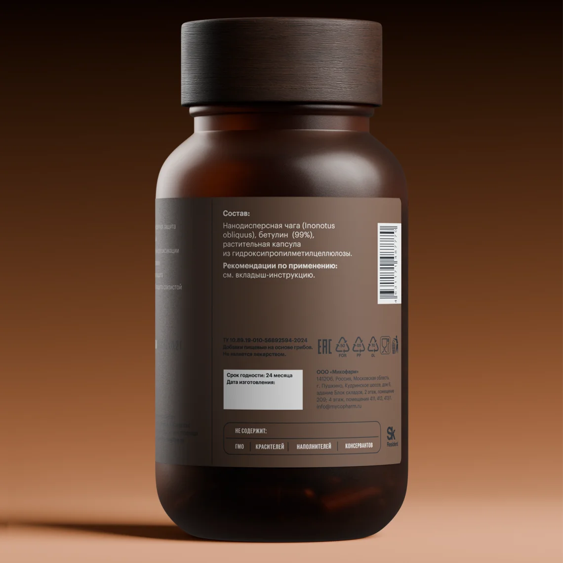 chaga1 3